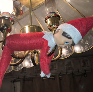 Meet your Posher, Drake